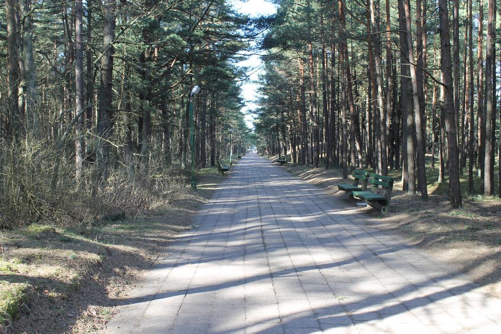 Studio Pluke Palanga Buitenkant foto